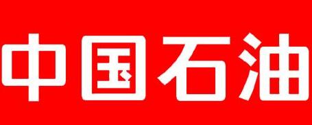 中國(guó)石油廣西石化公司總經(jīng)理雍瑞生簡(jiǎn)歷，廣西石化領(lǐng)導(dǎo)班子