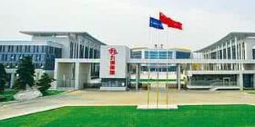 九洲集團董事長杜力平簡歷，王國春四川綿陽九洲集團領導班子什么級別？