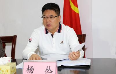 楊叢簡(jiǎn)歷：廣西自治區(qū)政協(xié)經(jīng)濟(jì)委員會(huì)副主任楊叢，曾任廣西政府發(fā)展中心主任，欽州市委副書記