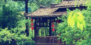 廣西廣投文化旅游公司梅以軍簡(jiǎn)歷，廣西廣投文旅和廣西投資集團(tuán)啥關(guān)系？