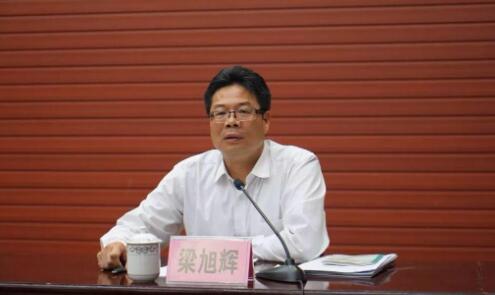 梁旭輝簡歷：廣西自治區(qū)黨委第四巡視組組長梁旭輝，曾任柳州市委副書記，崇左市委常委、常務副市長、紀委書記