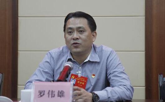 羅偉雄簡歷：梧州市委常委、政法委書記羅偉雄，曾任岑溪市委書記